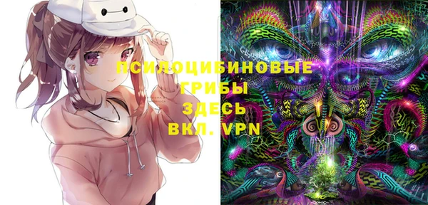 spice Кулебаки
