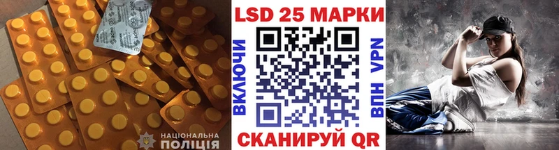 блэк спрут сайт  Шебекино  Лсд 25 экстази кислота 