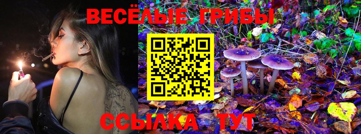 продажа наркотиков  Шебекино  Псилоцибиновые грибы MAGIC MUSHROOMS  Псилоцибиновые грибы Psilocybe 