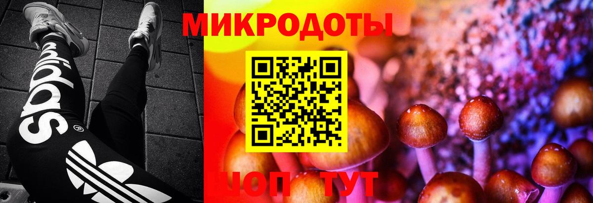 Галлюциногенные грибы прущие грибы Шебекино