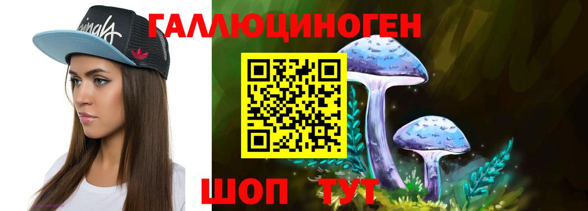Шебекино  Псилоцибиновые грибы Cubensis  Вход с VPN 