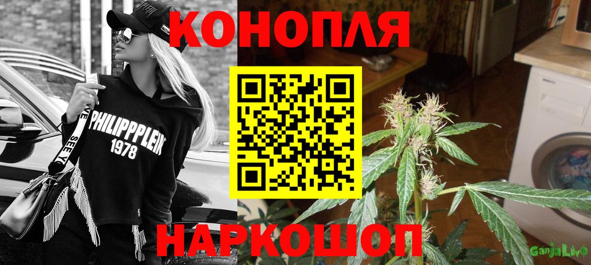 Конопля White Widow Шебекино